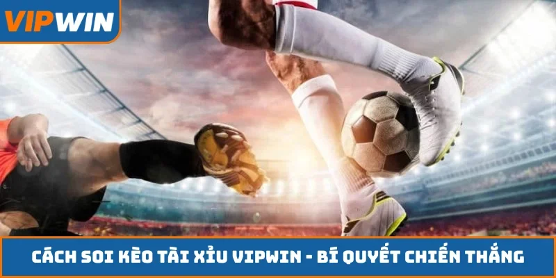 Cách soi kèo tài xỉu VIPWIN
