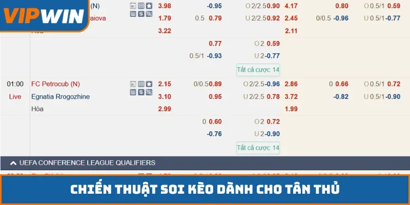 Chiến thuật soi kèo dành cho tân thủ