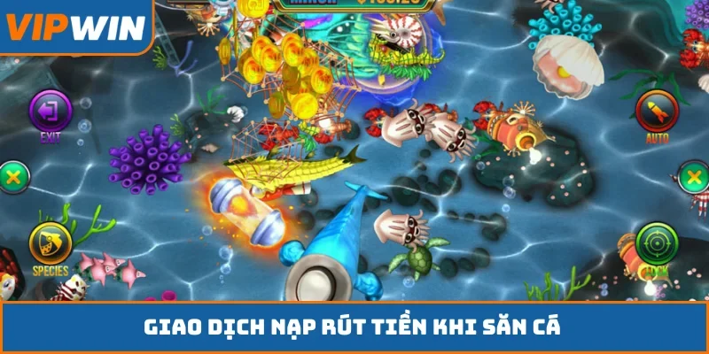 Giao dịch nạp rút tiền khi săn cá