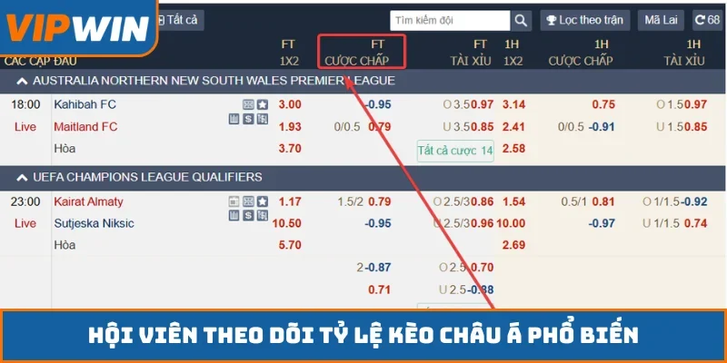 Hội viên theo dõi tỷ lệ kèo châu Á phổ biến