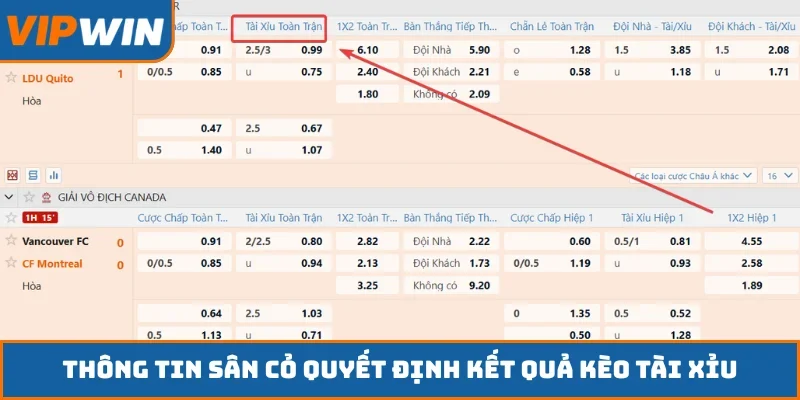 Thông tin sân cỏ quyết định kết quả kèo tài xỉu